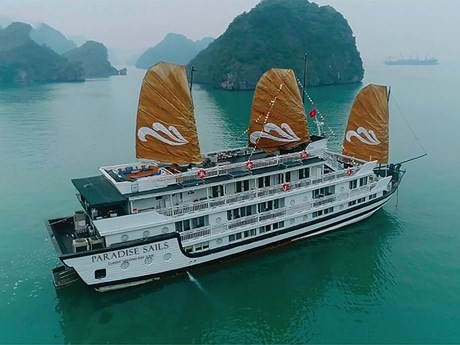 La croisière Paradise Vietnam dans la baie d'Ha Long. Photo : VNA