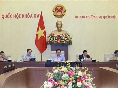 Le Président de l'Assemblée nationale, Vuong Dinh Huê (au milieu), lors de la séance. Photo : VNA.