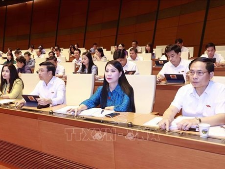 Des députés de l'Assemblée nationale votent l'adoption du projet de loi sur les transactions électroniques (modifiée). Photo : VNA.
