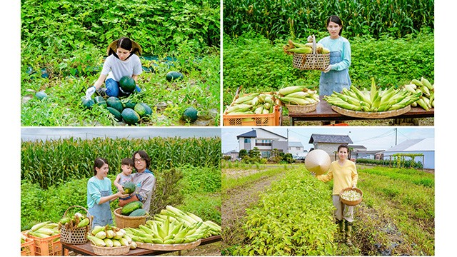 il s'agit des images simples, familières et amicales réalisées par Bùi Ngoc Thuy suscitant l’intérêt de nombreux gens. Photo : Vietnamnet.vn
