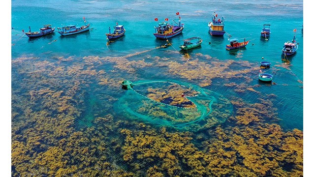 L'île Hon Khô a révélé sa beauté magique dans la saison des algues. Photo : Hanoimoi.vn