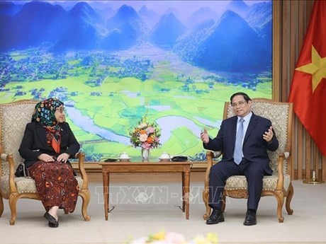 Le Premier ministre Pham Minh Chinh et la nouvelle ambassadrice de Brunei au Vietnam, Datin Paduka Malai Hajah Halimah Malai Haji Yussof. Photo : VNA.