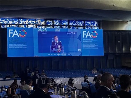 Propositions du Vietnam à la réunion plénière de la 43e conférence de la FAO