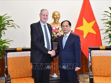 Le ministre des Affaires étrangères Bui Thanh Son (droite) et l'ambassadeur d'Israël au Vietnam Yaron Mayer. Photo: VNA