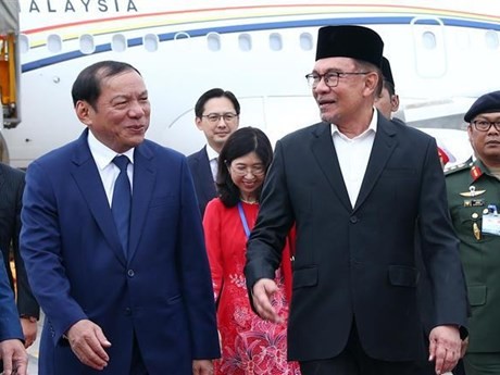 Le ministre de la Culture, des Sports et du Tourisme Nguyen Van Hung accueille le Premier ministre malaisien Anwar Ibrahim à l'aéroport international de Noi Bai. Photo: VNA