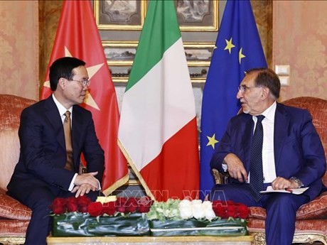 Le Président du Vietnam, Vo Van Thuong, (à gauche) et le Président du Sénat italien, Ignazio La Russa. Photo : VNA.