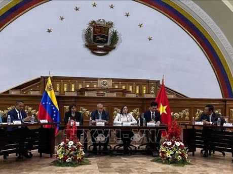 Une rencontre entre des responsables vietnamiens et venezuéliens. Photo : VNA