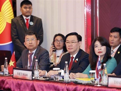 Le Président de l’AN Vuong Dinh Huê à la réunion du Comité exécutif de l’AIPA. Photo : VNA.