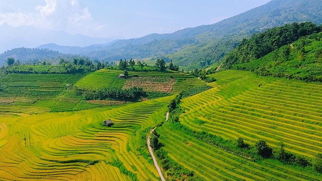 Des belles rizières en terrasse à Nâm Cang. Photo: plo.vn