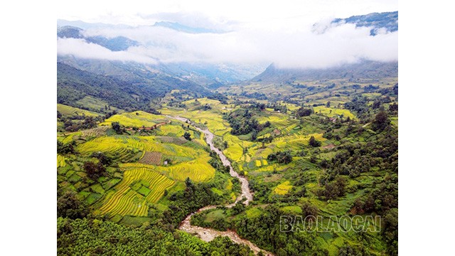 Les rizières en terrasses de la vallée de Thê Pa ont été classés entant que site du patrimoine national par le Ministère de la Culture, des Sports et du Tourisme. Photo : baolaocai.vn