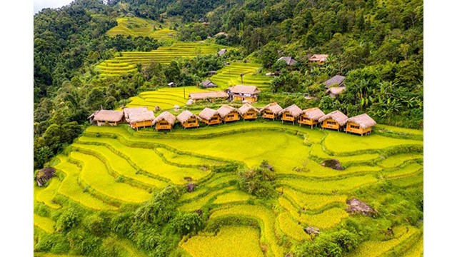 Les rizières en terrasse à Hoang Su Phi: Photo : VOV.