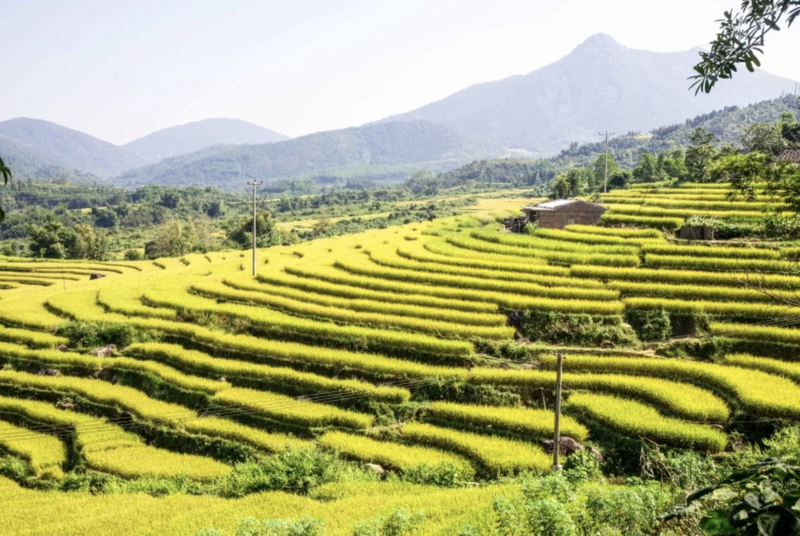 La fête de la saison dorée de Binh Liêu aura lieu le 21 octobre. Photo : Portail d'information électronique de Quang Ninh.