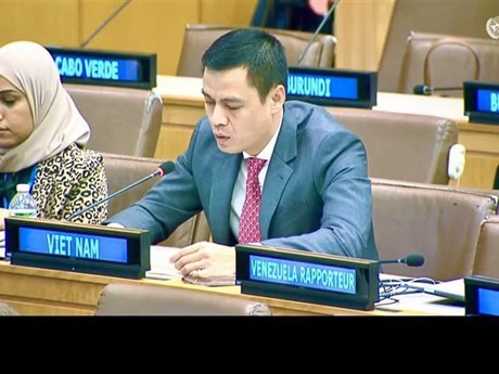 L’ambassadeur Dang Hoang Giang, chef de la Mission permanente du Vietnam auprès des Nations Unies. Photo : VNA.