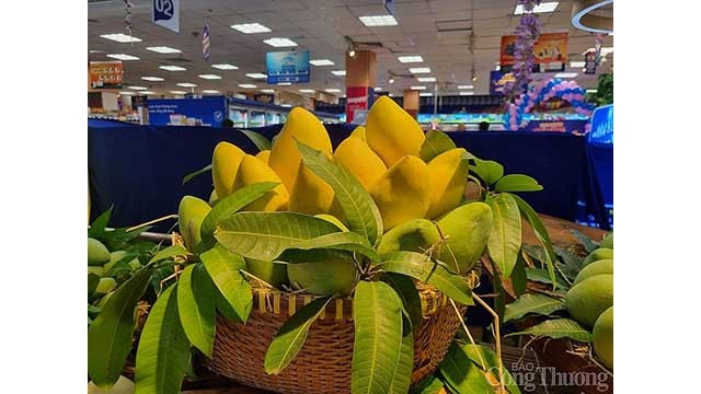 Le Vietnam est le 3e plus grand fournisseur de mangues pour la R. de Corée. Photo : congthuong.vn
