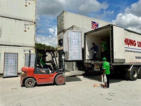 Exportation de près de 20.000 bouteilles de « Fresh coconut blossom water » vers les États-Unis. Photo: VNA