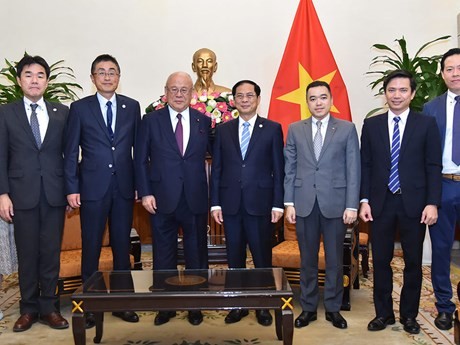 Rencontre entre le ministre vietnamien des Affaires étrangères Bui Thanh Son (4e à droite) et le conseiller de l'Alliance parlementaire d'amitié Japon-Vietnam, Takebe Tsutomu. Photo : VNA
