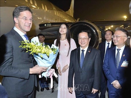 Le ministre des Sciences et des Technologie, Huynh Thành Dat, et l'ambassadeur du Vietnam aux Pays-Bas, Ngô Huong Nam, accueillent le Premier ministre néerlandais, Mark Rutte (au Vietnam), à l'aéroport international de Nôi Bài. Photo : VNA.