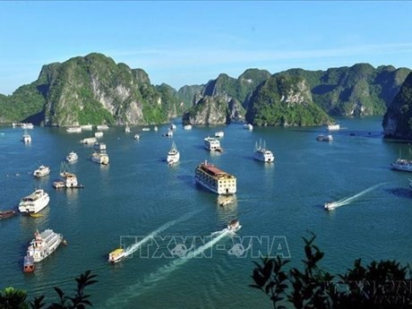 La baie d'Ha Long est reconnu par l'UNESCO comme patrimoine mondial. Photo d'illustration : VNA.