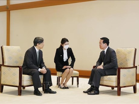 Le Président Vo Van Thuong (à droite) et l'empereur Naruhito au Japon. Photo : VNA.