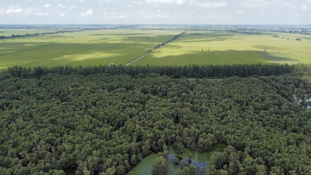 Le parc national de Tràm Chim. Photo : thesaigontimes.vn