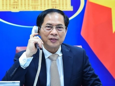 Le ministre vietnamien des Affaires étrangères, Bùi Thanh Son. Photo : VNA.