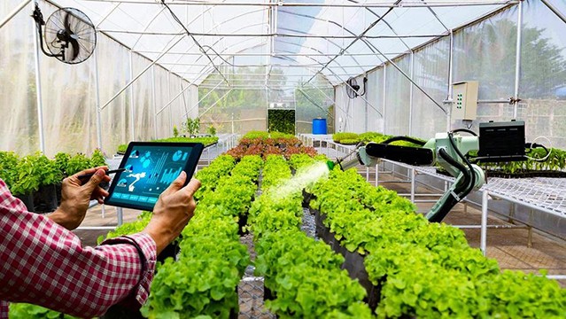L'application de la haute technologie dans l'agriculture. Photo d'illustration : baophapluat.vn