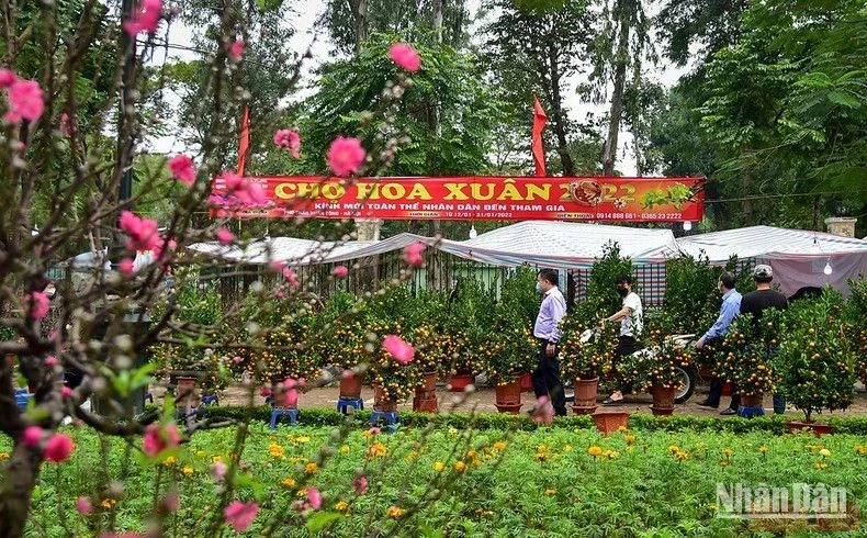Un marché floral à Hanoi. Photo d'illustration : NDEL.