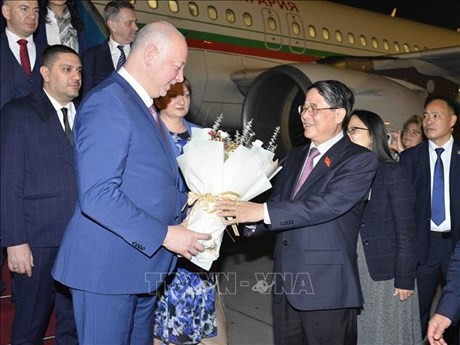 Le vice-président de l'Assemblée nationale vietnamienne, Nguyên Duc Hai, accueille le président de l'Assemblée nationale bulgare, Rossen Jeliazkov, à l'aéroport international de Nôi Bài, à Hanoï. Photo : VNA.