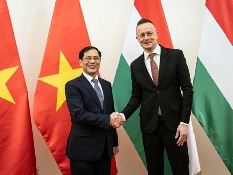 Le ministre Bùi Thanh Son (à gauche) et le ministre hongrois des Affaires étrangères et du Commerce Péter Szijjártó. Photo : VNA.