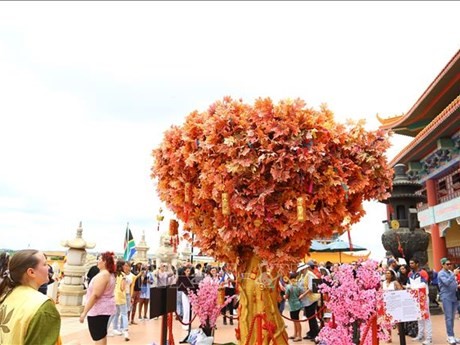 L'arbre aux souhaits est toujours le point culminant du festival du Nouvel An lunaire à la pagode Nam Hoa. Photo: VNA