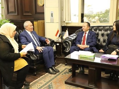 Une délégation de l'ambassade du Vietnam en Égypte travaillent avec les dirigeants de la province égyptienne de Louxor. Photo : VNA.