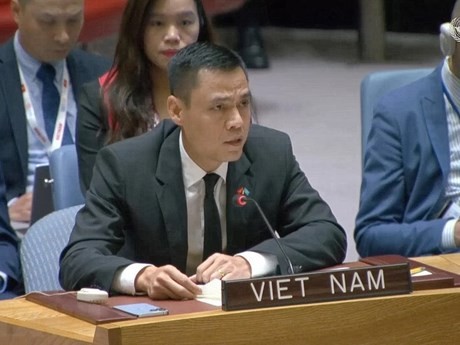 L'ambassadeur Dang Hoàng Giang, chef de la Mission permanente du Vietnam auprès des Nations Unies. Photo : VNA.