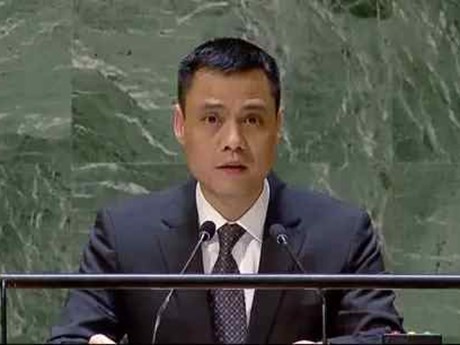 L'ambassadeur Dang Hoàng Giang, chef de la Mission permanente du Vietnam auprès des Nations Unies (ONU). Photo : VNA.