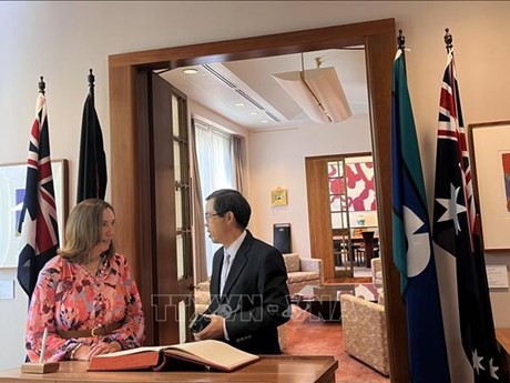 L'ambassadeur vietnamien en Australie, Pham Hung Tam, et la présidente du Sénat australien, Sue Lines. Photo : VNA.