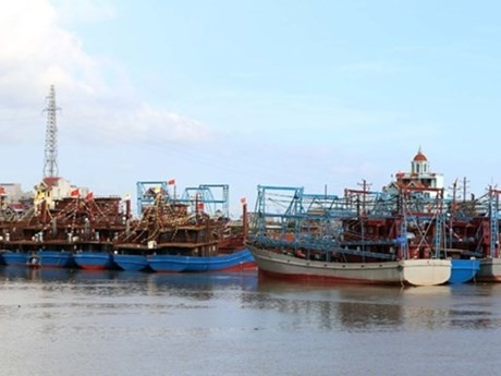 Nam Dinh contrôle strictement les bateaux de pêche aux ports. Photo : VNA.