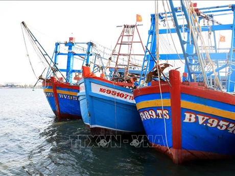 Pêche INN : le nombre de bateaux contrevenants chute à Bà Ria-Vung Tàu