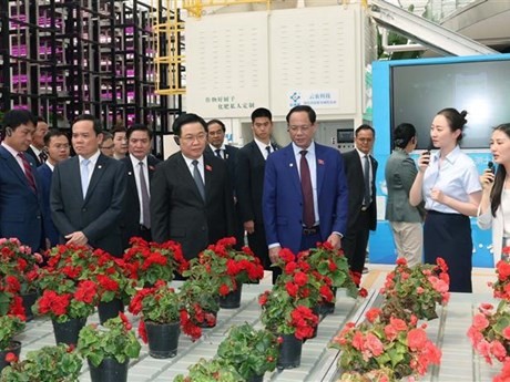 Le Président de l'Assemblée nationale (AN), Vuong Dinh Huê, visite le Centre de services et d'innovation pour l’agriculture verte de Yuntianhua. Photo : VNAYunnan.