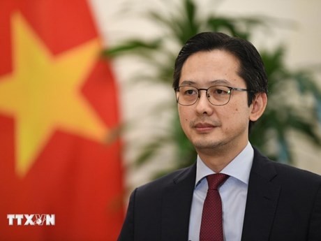 Le vice-ministre des Affaires étrangères Dô Hung Viêt. Photo : VNA.