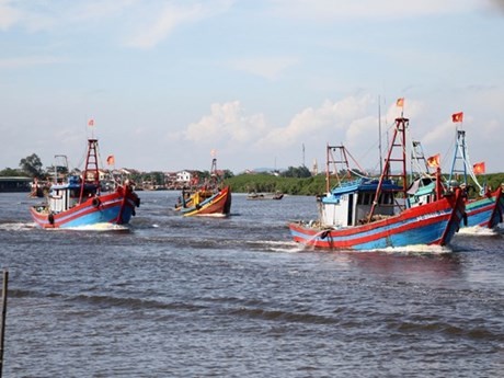 Bateaux de pêche hauturière de la province de Nghê An. Photo : VNA