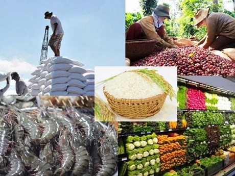 La République de Corée est actuellement le 4e plus grand importateur de produits agro-sylvicoles et aquatiques du Vietnam. Photo : VNA