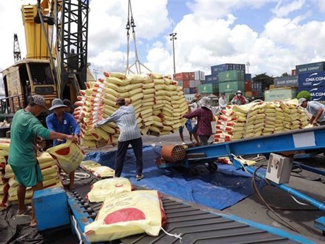 Les exportations de riz du Vietnam atteignent un record en termes de production et de valeur. Photo: VNA
