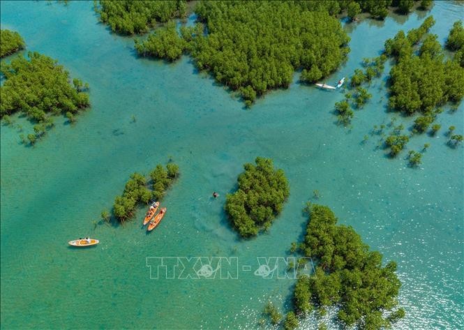 Forêt de mangroves de la baie de Nha Trang, province de Khanh Hoa, vue d'en haut. Photo : VNA.
