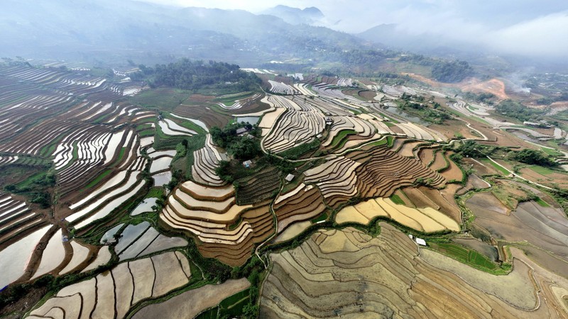 Les rizières en terrasses de Lai Châu. Photo : nhandan.vn