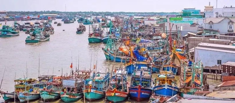 Bateaux de pêche hauturière au port maritime du bourg de Sông Dôc, district de Trân Van Thoi, province de Ca Mau. Photo : VNA.