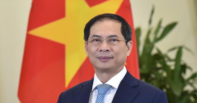 Le ministre des Affaires étrangères Bui Thanh Son. Photo : VNA.