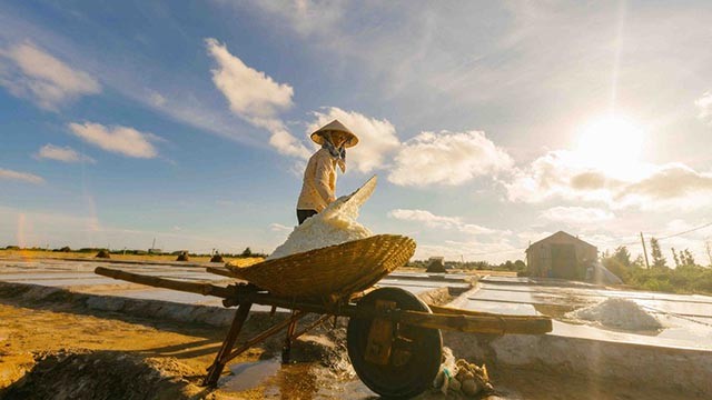 Le champ de sel de Bach Long est situé dans la commune de Bach Long, district de Giao Thuy, province de Nam Dinh. Photo : Photo: www.sgtiepthi.vn