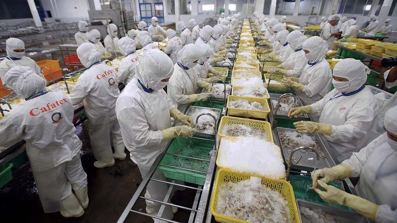 Les produits de la mer sont l'un des articles d'exportation clés du Vietnam vers l'Europe. Sur la photo : Production de produits de la mer destinés à l'exportation à la société par actions CAFATEX dans la province de Hâu Giang. Photo : hanoimoi.vn