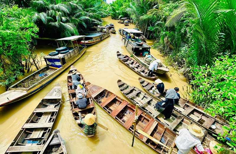 La province de Bên Tre est connue sous le nom de « région des Cocotiers ». Photo : hanoimoi.vn