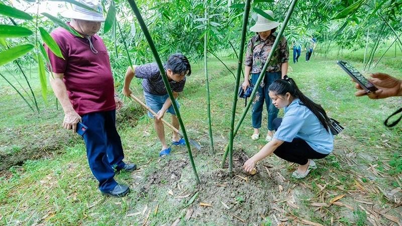 Un modèle de l'agro-écotourisme. Photo: https://nhandan.vn/