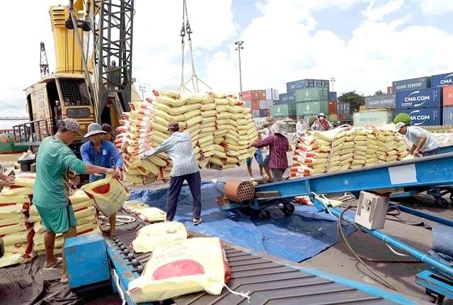 Le Vietnam exporte 6,16 millions de tonnes de riz au cours des huit premiers mois de cette année. Photo : VNA.